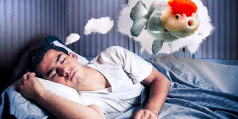 Soi cầu chính xác từ việc nằm mơ thấy ăn cá