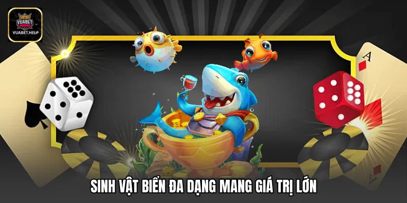 Sinh vật biển đa dạng mang giá trị lớn