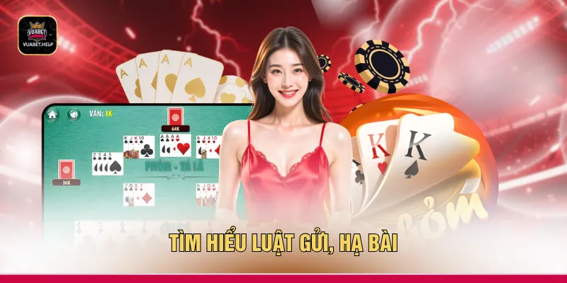 Tìm hiểu luật gửi, hạ bài