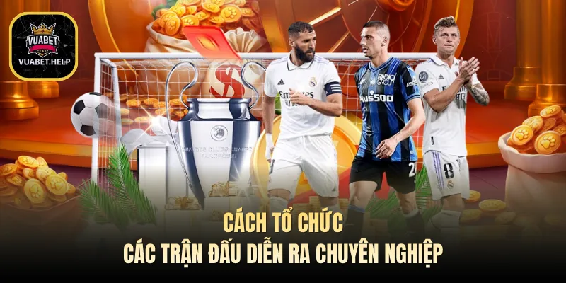 Cách tổ chức các trận đấu diễn ra chuyên nghiệp