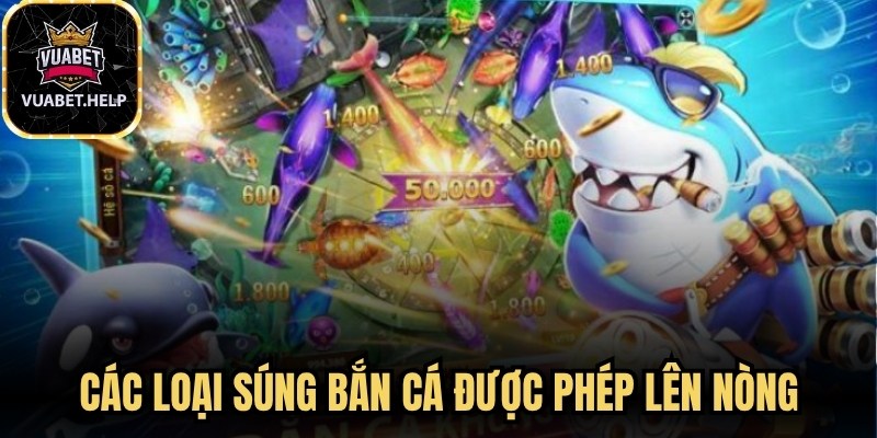 Các loại súng bắn cá được phép lên nòng
