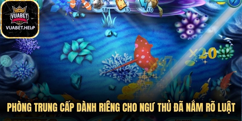 Phòng Trung cấp dành riêng cho các ngư thủ đã nắm rõ luật
